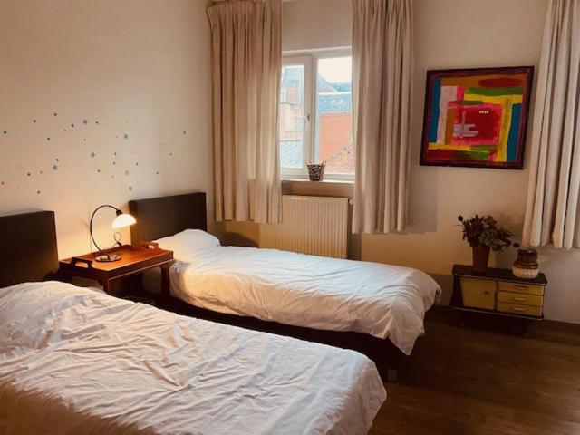 Spacious Duplex With Terrace In The Middle Of The Center Appartamento Gand